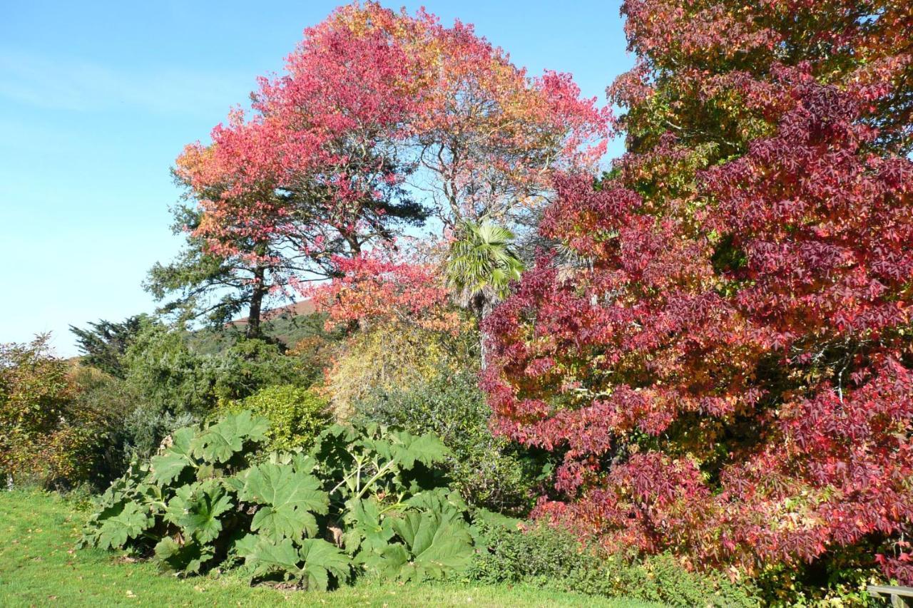 Luxury Bed And Breakfast At Bossington Hall In Exmoor, Somerset Порлок Екстериор снимка
