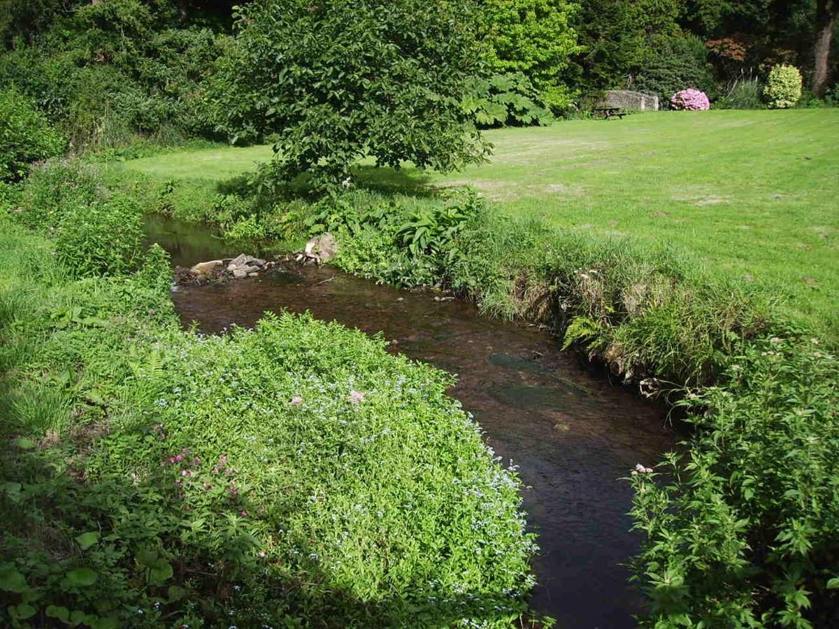 Luxury Bed And Breakfast At Bossington Hall In Exmoor, Somerset Порлок Екстериор снимка