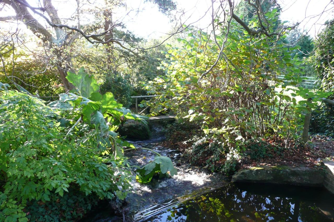Luxury Bed And Breakfast At Bossington Hall In Exmoor, Somerset Порлок Екстериор снимка