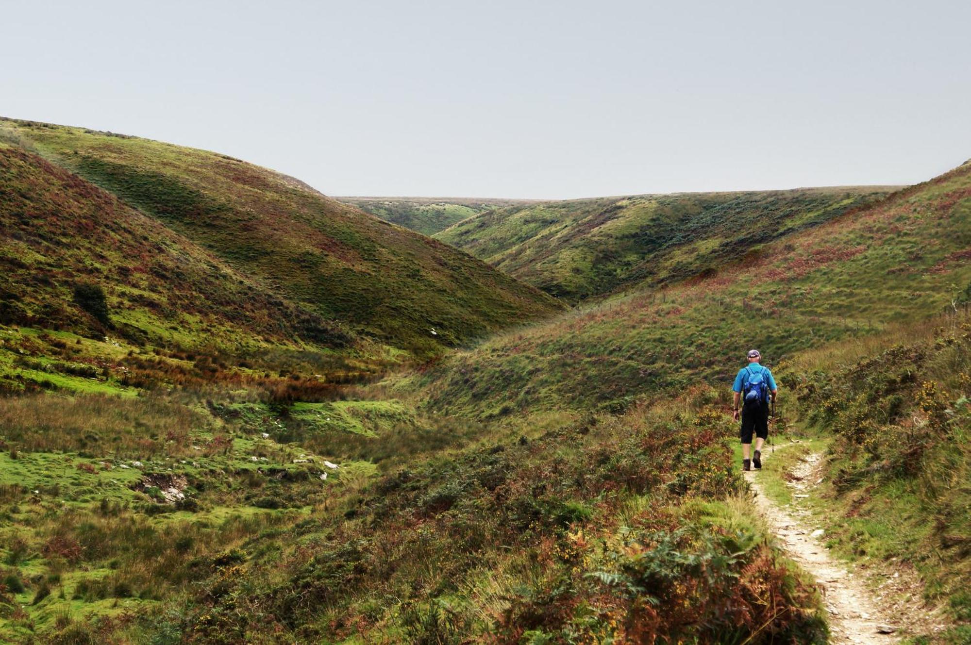 Luxury Bed And Breakfast At Bossington Hall In Exmoor, Somerset Порлок Екстериор снимка